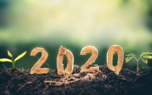 Read more about the article Our First Year Vegan