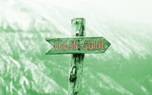 Read more about the article Go Vegan! : An Easy Transition Into Veganism