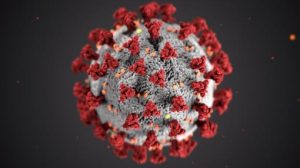 Read more about the article Why Pandemics Will Happen More Often and Why Biodiversity is so Important